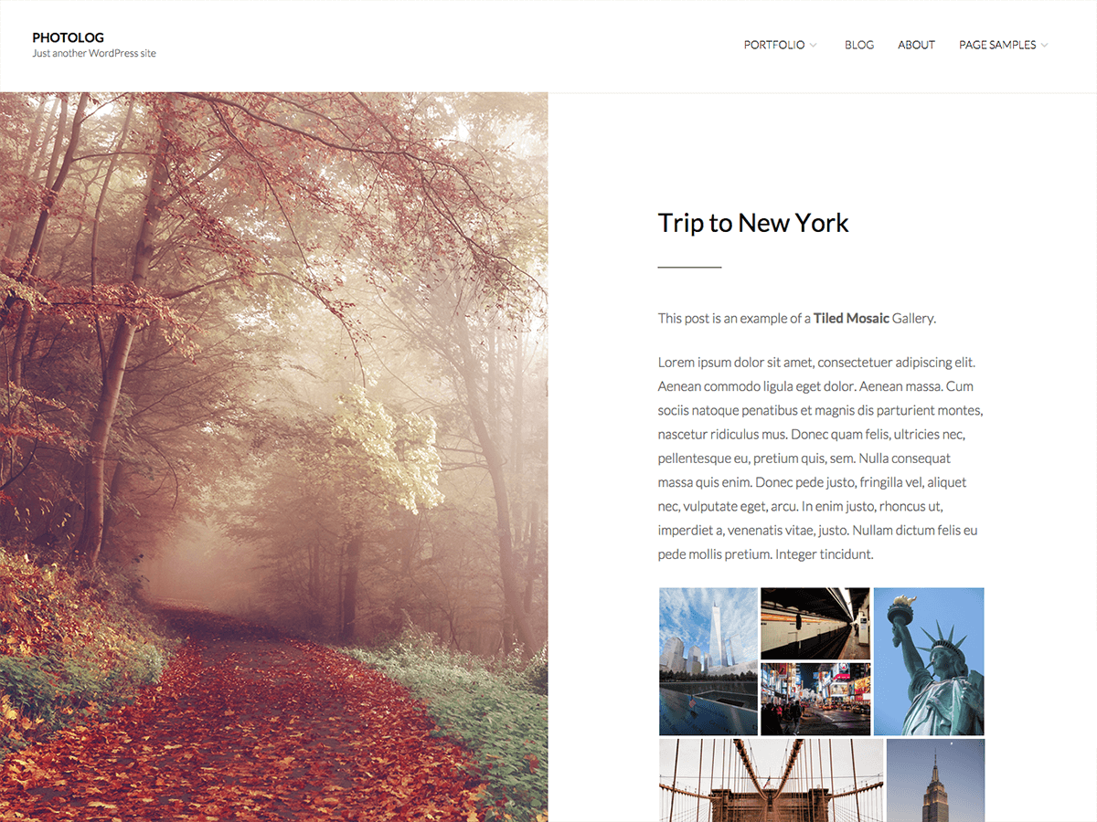 Photolog theme screenshot