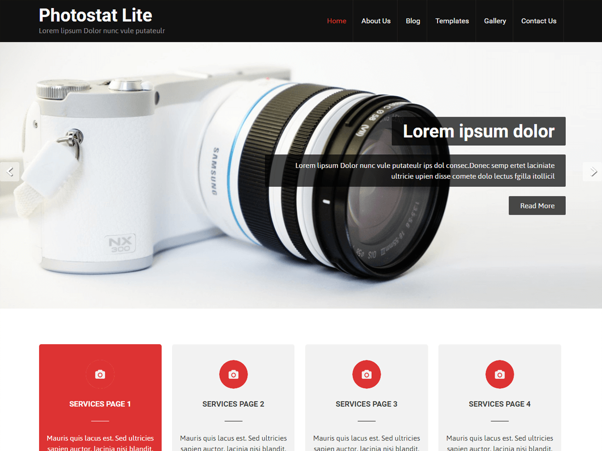 Photostat Lite theme screenshot