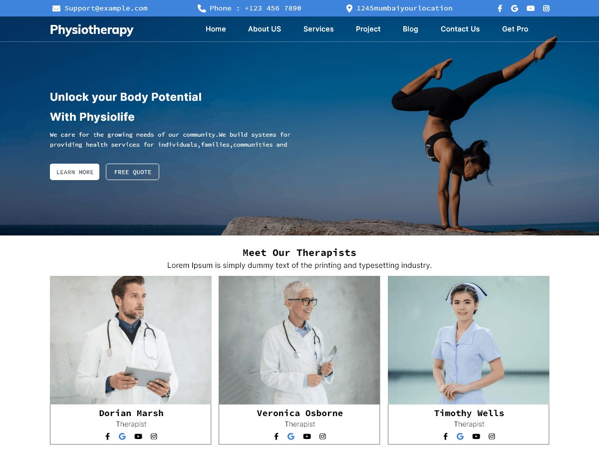 Physiotherapy Clinic theme screenshot