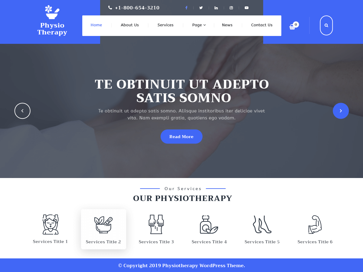 Physiotherapy Lite theme screenshot