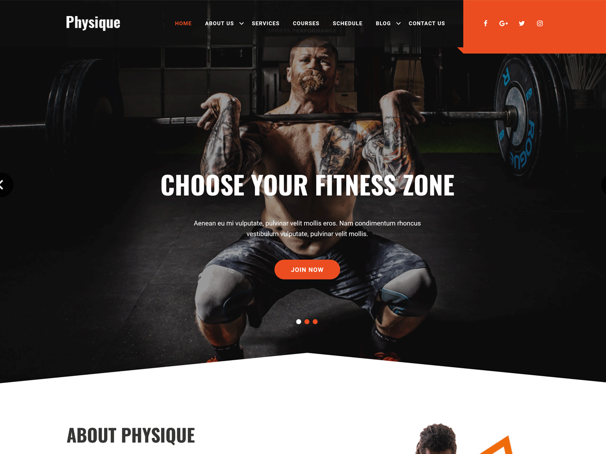 Physique theme screenshot