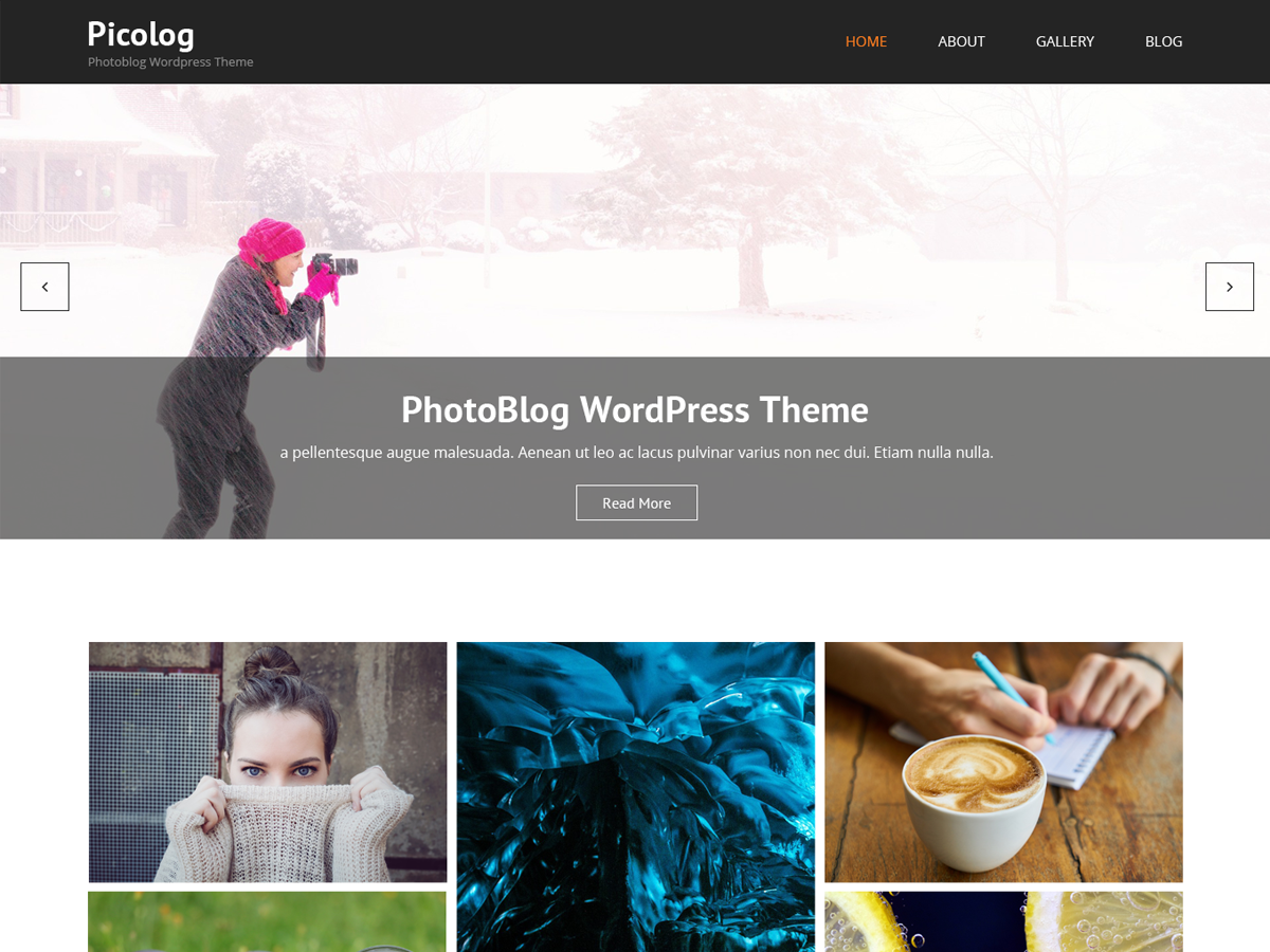 Picolog theme screenshot