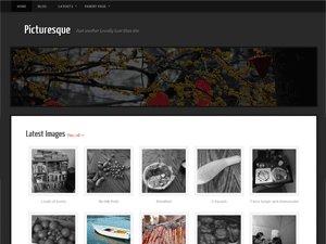 Picturesque theme screenshot