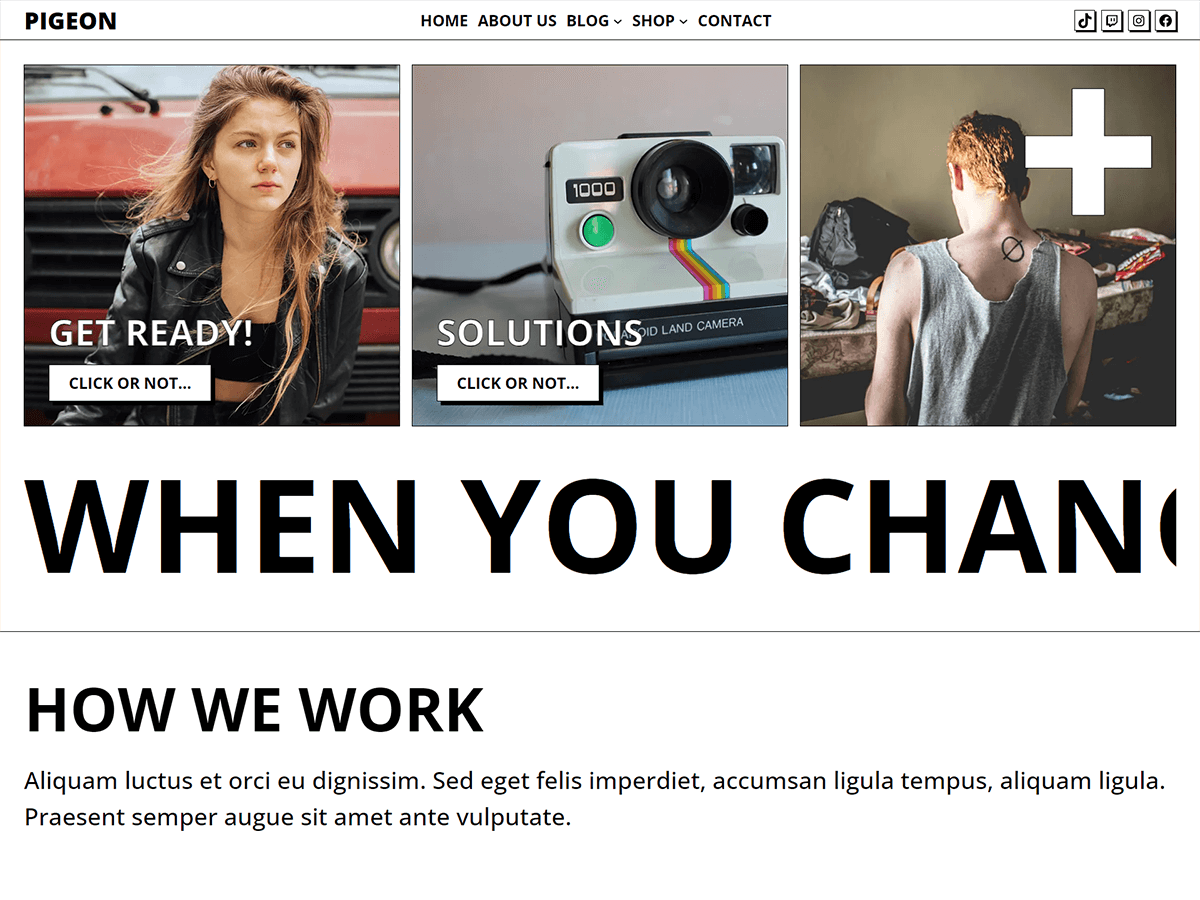 Pigeon theme screenshot