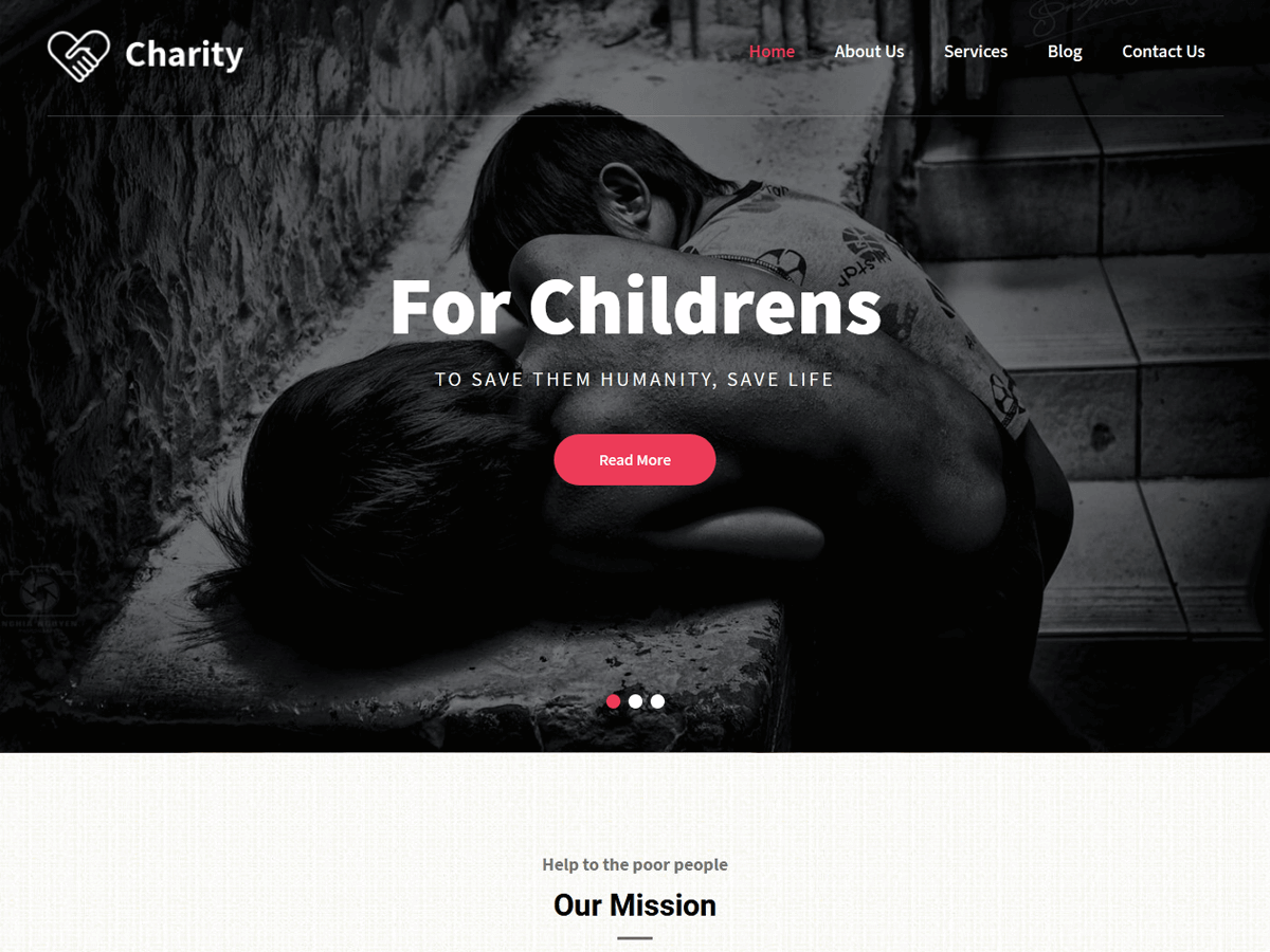 Pin Charity theme screenshot