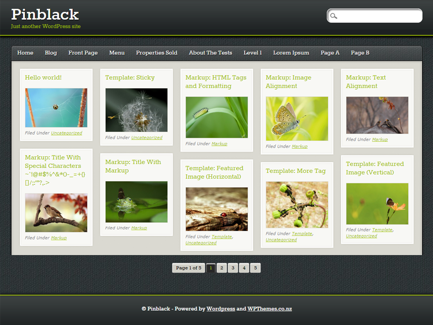 PinBlack theme screenshot