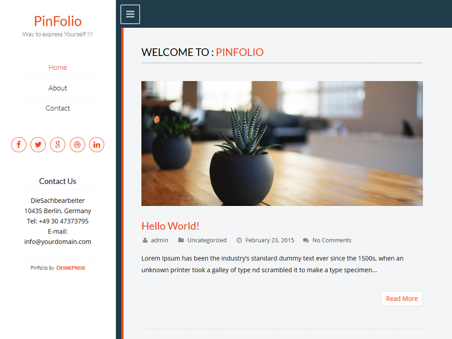 Pinfolio theme screenshot