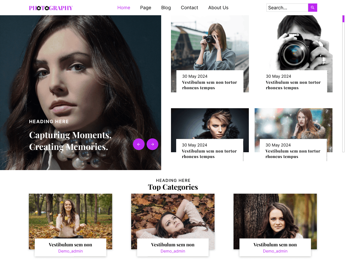 Pixel Photography theme screenshot