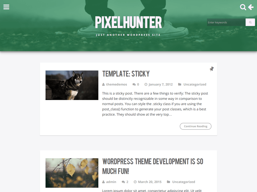 PixelHunter theme screenshot