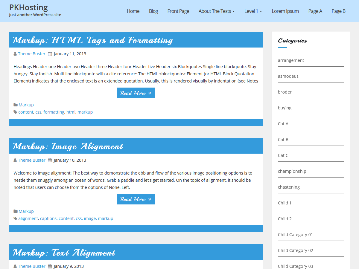 PKHosting theme screenshot