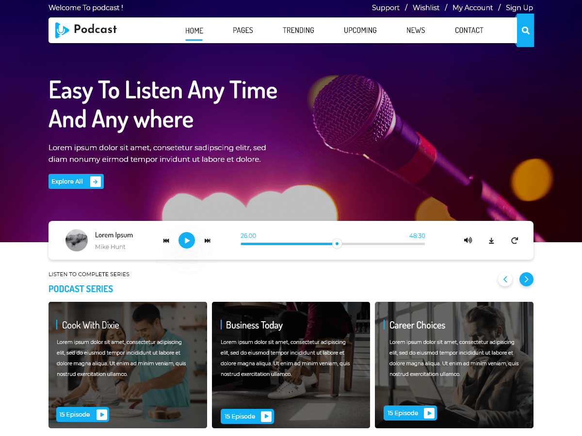 Podcaster Radio theme screenshot