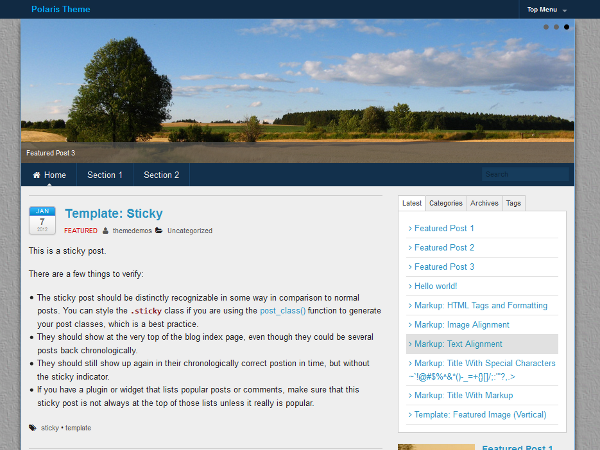 Polaris theme screenshot