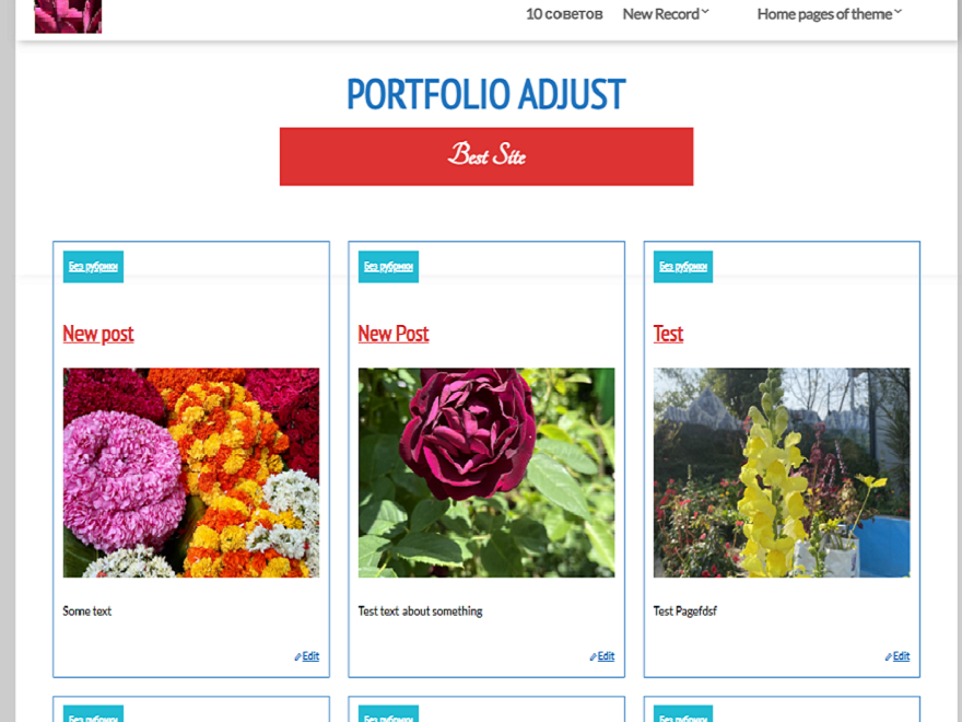 Portfolio Adjust theme screenshot