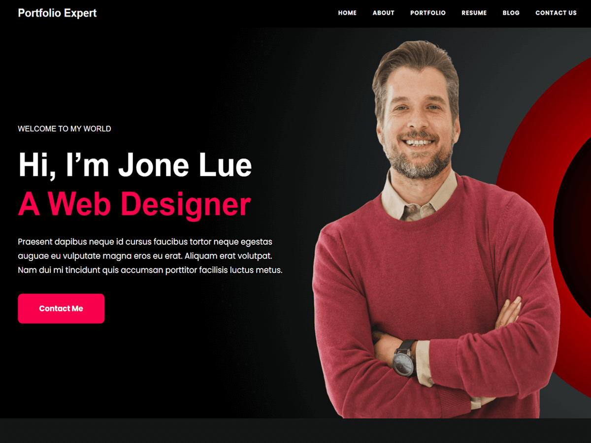 Portfolio Expert theme screenshot