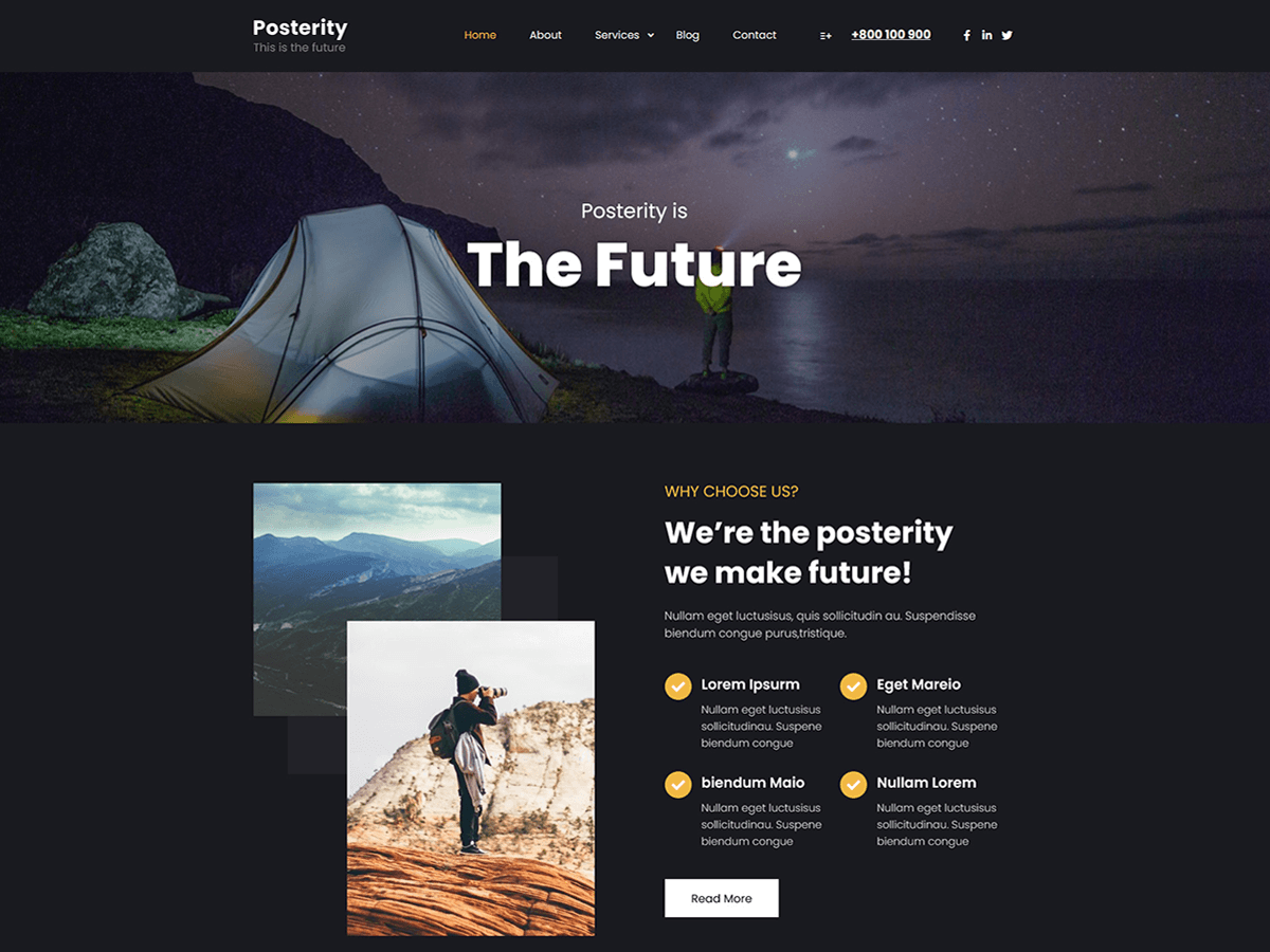 Posterity Dark theme screenshot