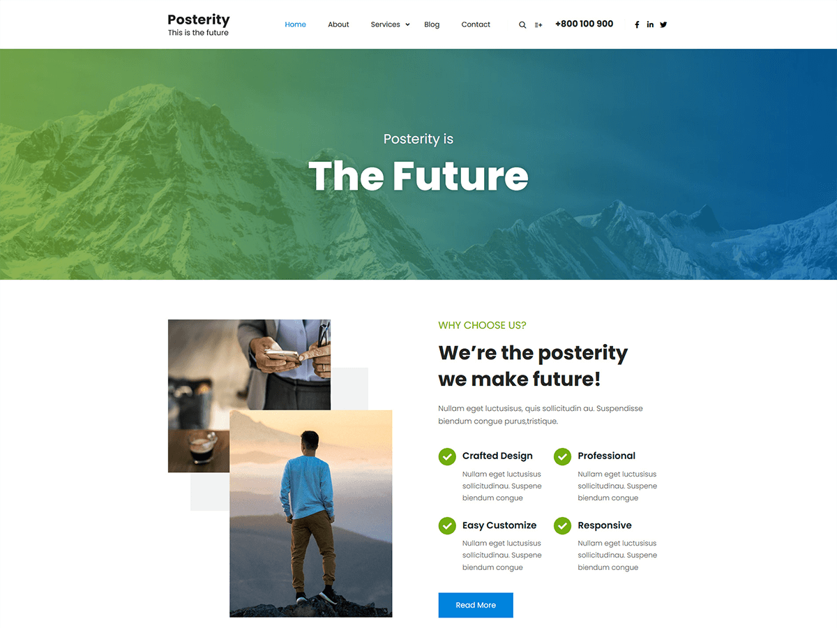 Posterity theme screenshot