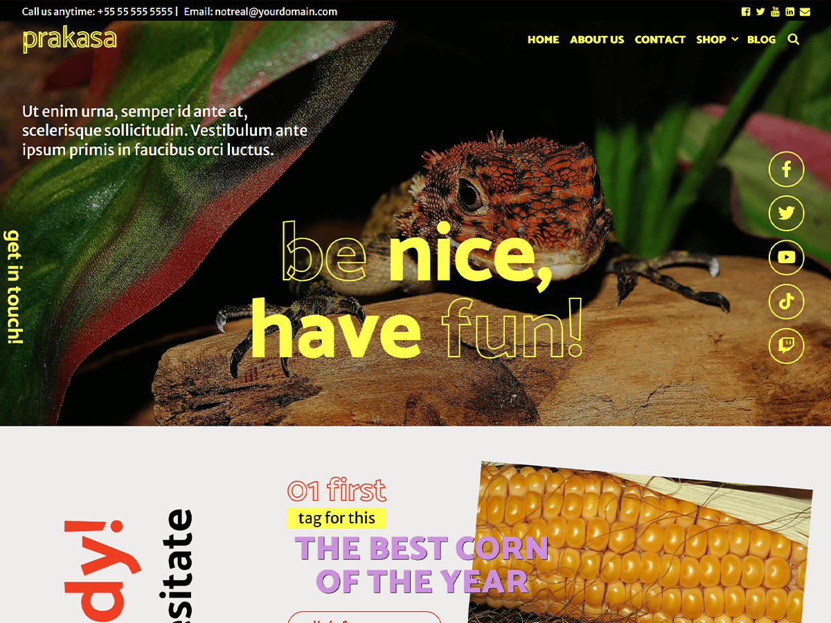 Prakasa theme screenshot