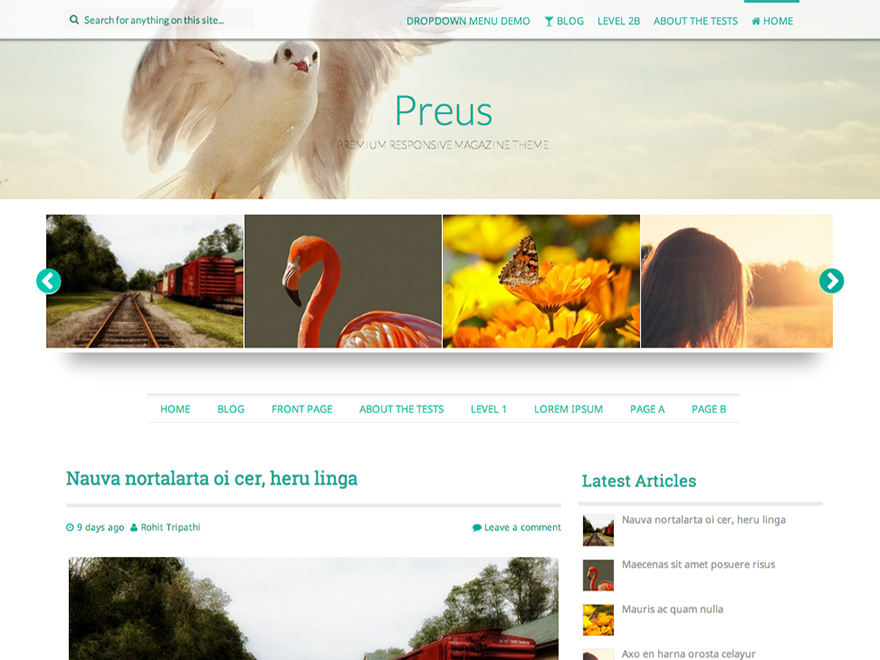 Preus theme screenshot