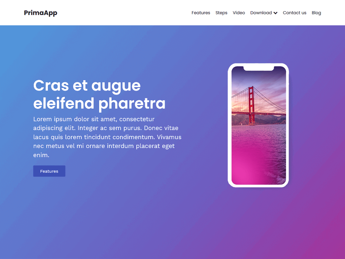 PrimaApp theme screenshot