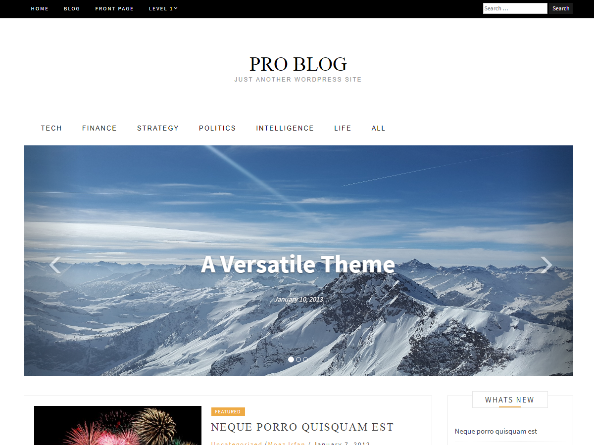 Pro Blog theme screenshot