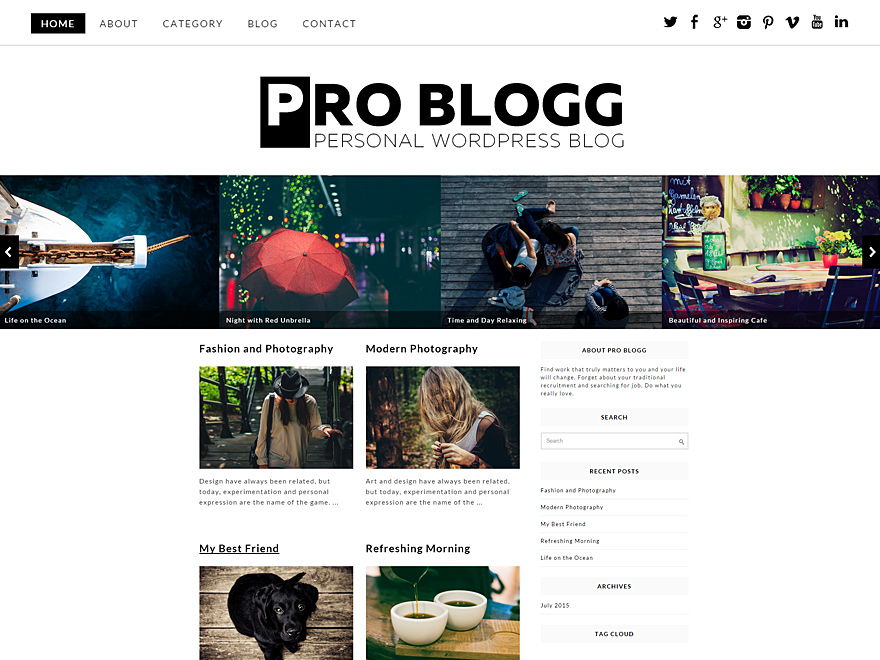 Pro Blogg theme screenshot