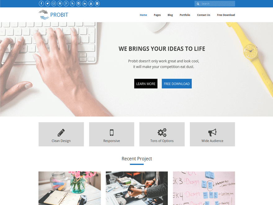 Probit theme screenshot