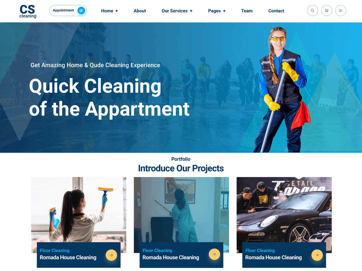 Professional Cleaning Company theme screenshot