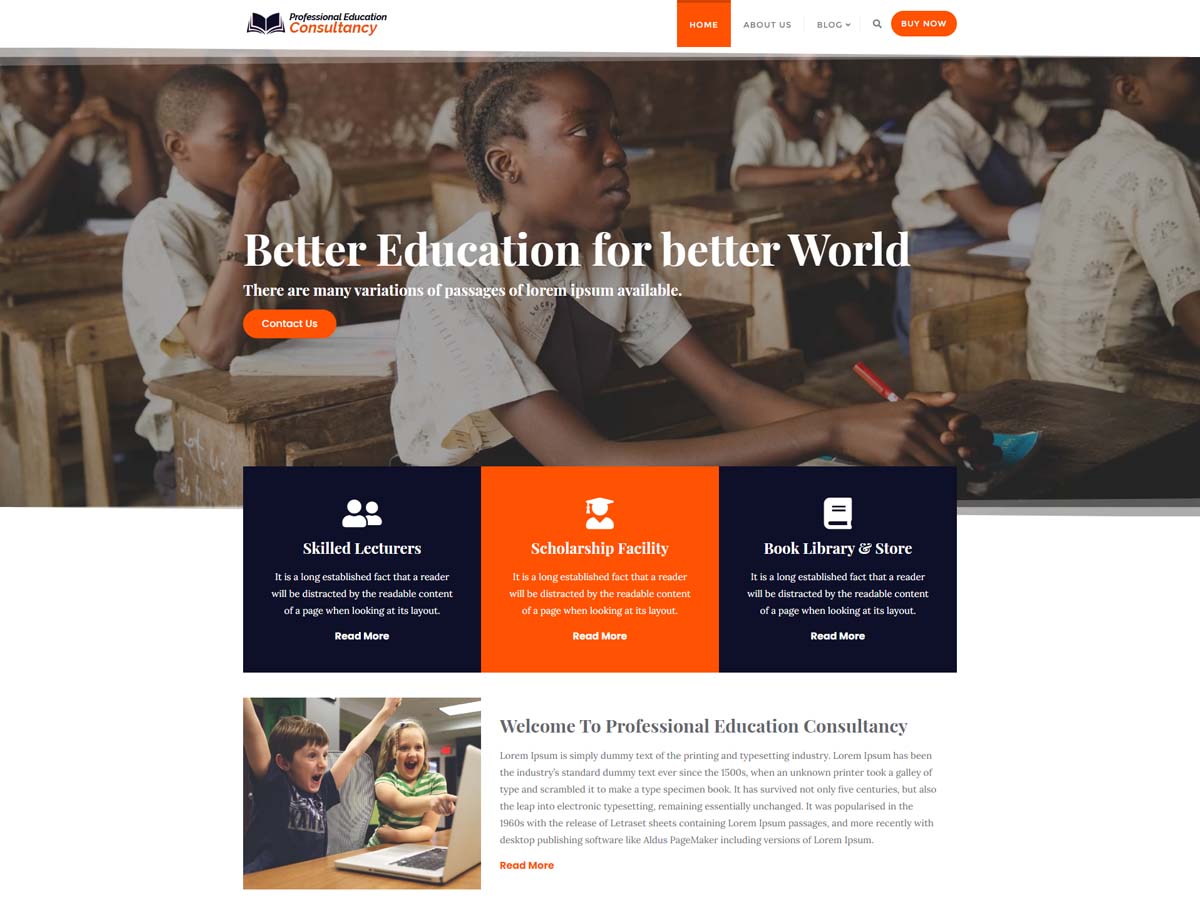 Professional Education Consultancy theme screenshot