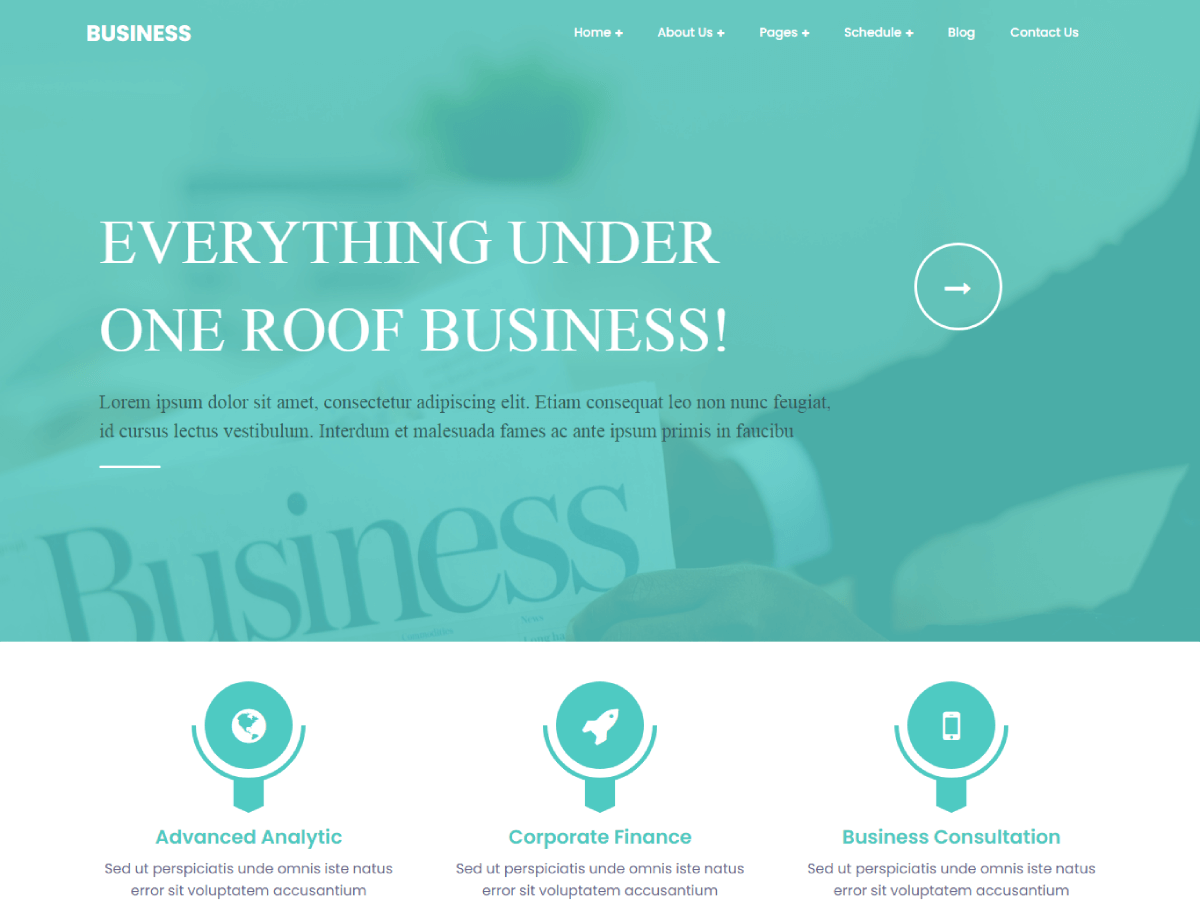 Professional Techup theme screenshot