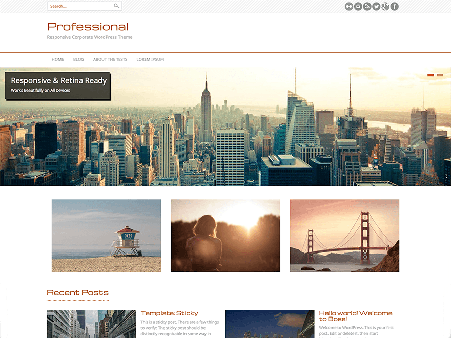 Professional theme screenshot