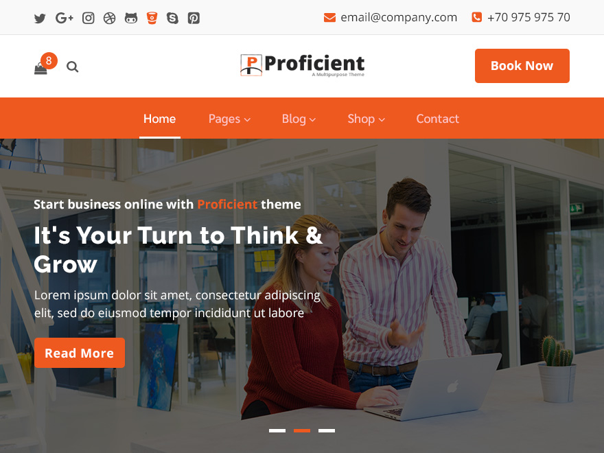 Proficient theme screenshot