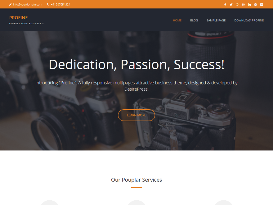 Profine theme screenshot
