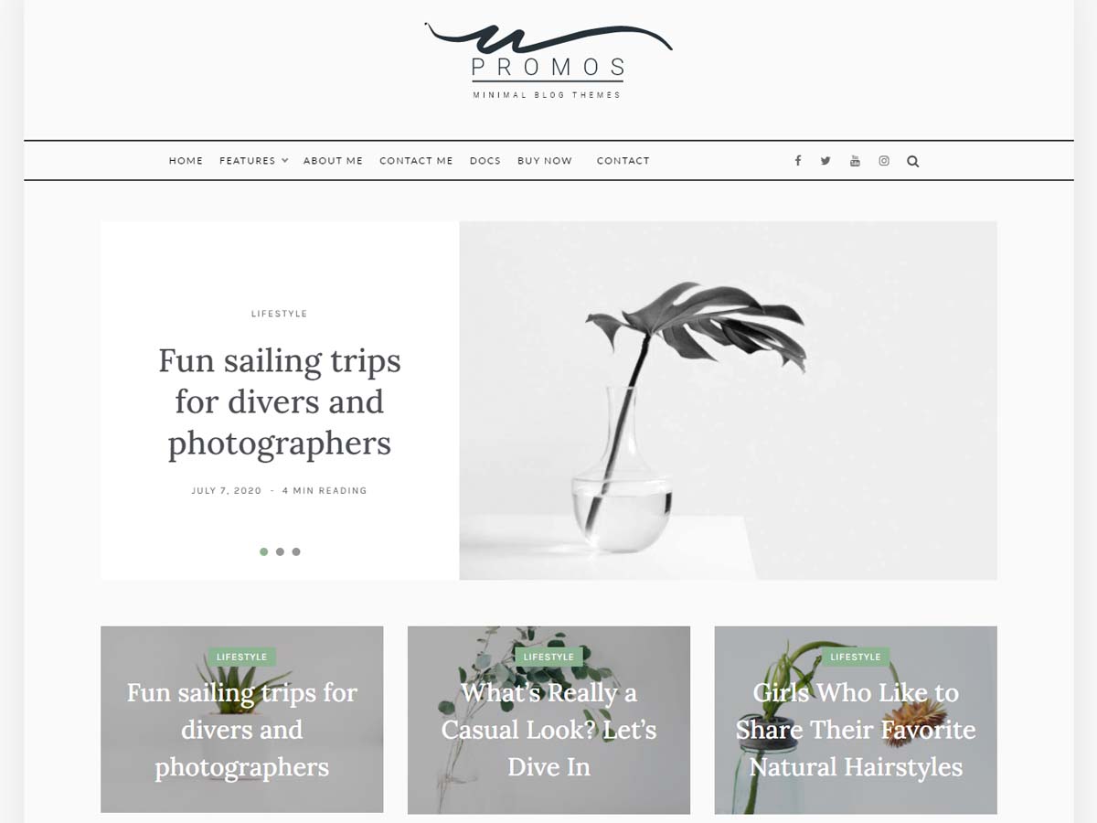 Promos Blog theme screenshot