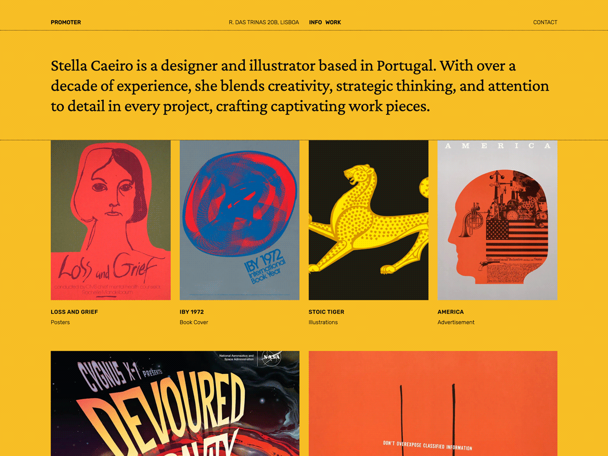 Promoter theme screenshot