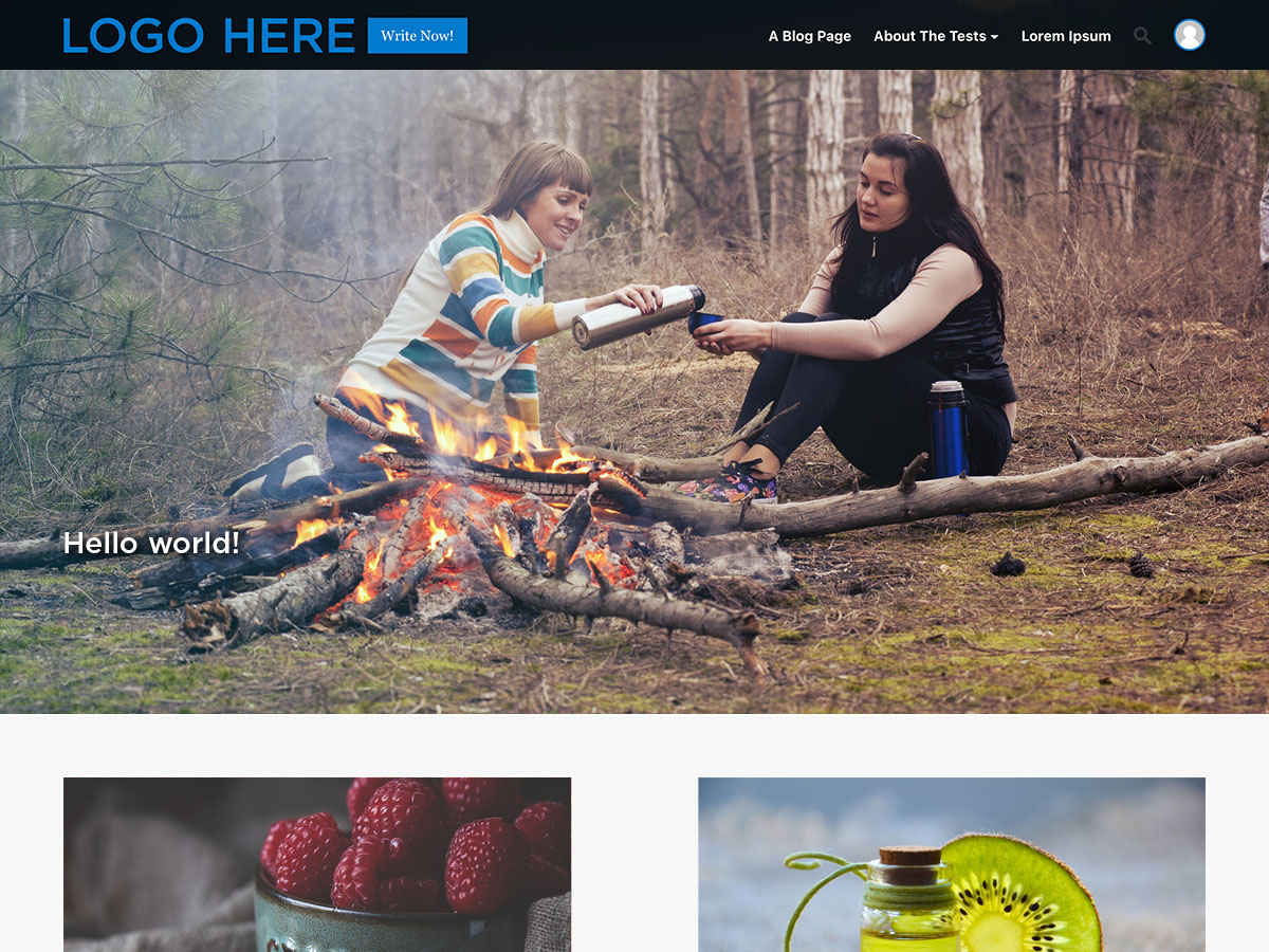 Publishers theme screenshot