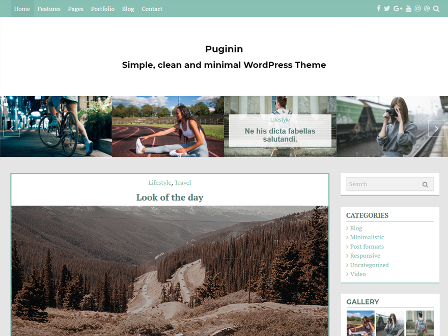 Pugini theme screenshot