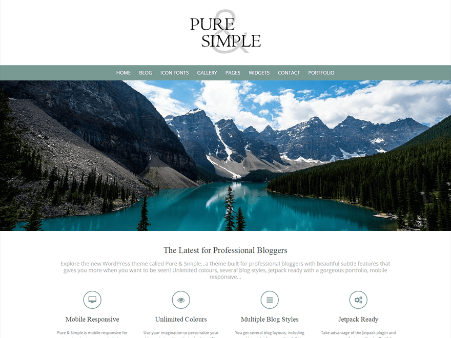 Pure & Simple theme screenshot