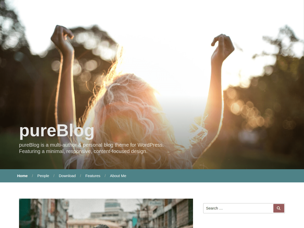 PureBlog theme screenshot
