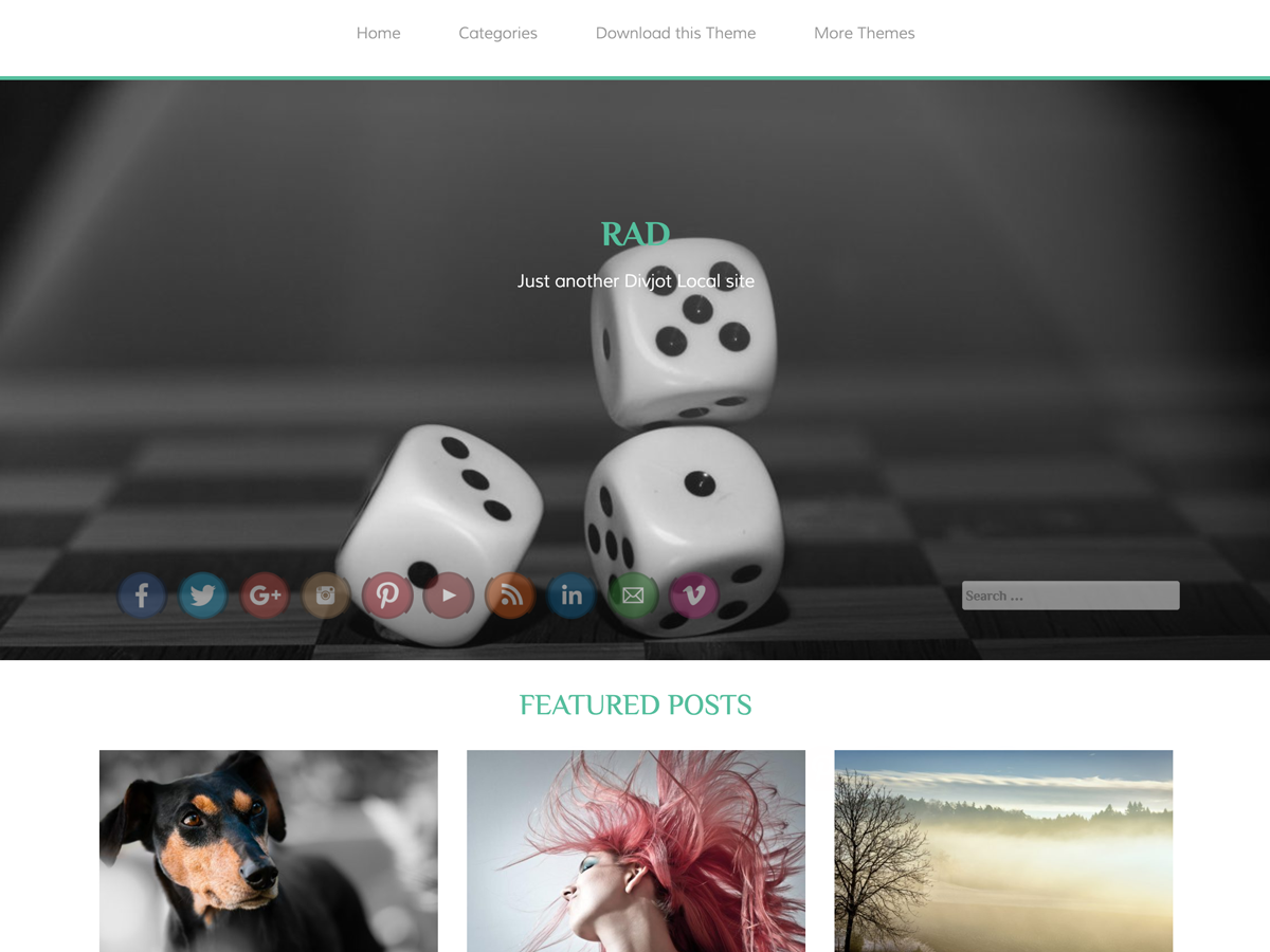 RAD theme screenshot