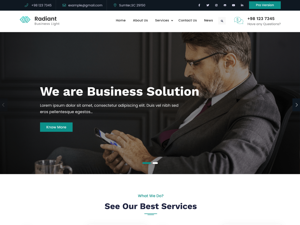 Radiant Business Light theme screenshot