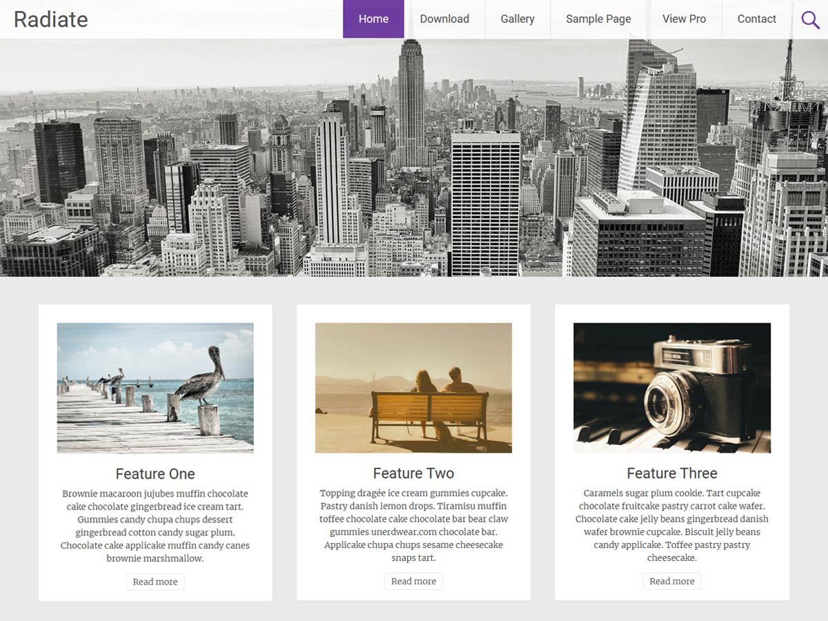 Radiate theme screenshot
