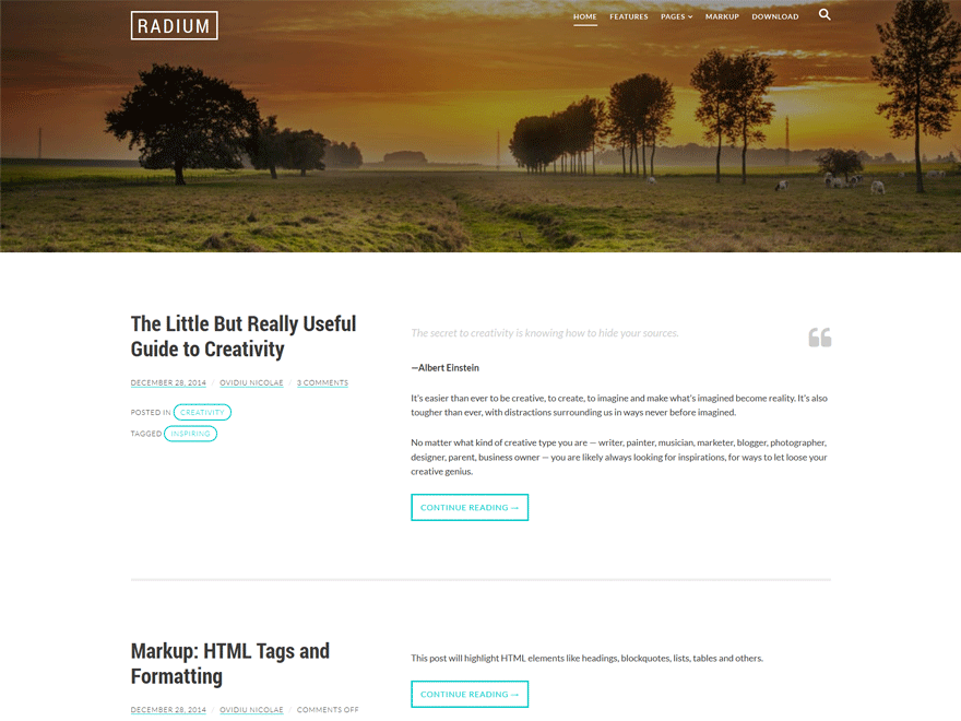 Radium theme screenshot