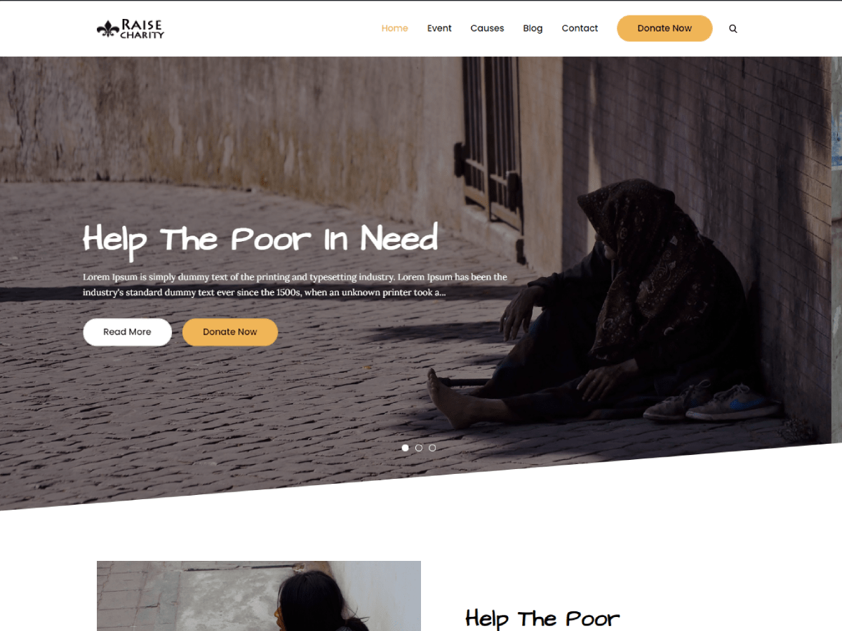 Raise Charity theme screenshot