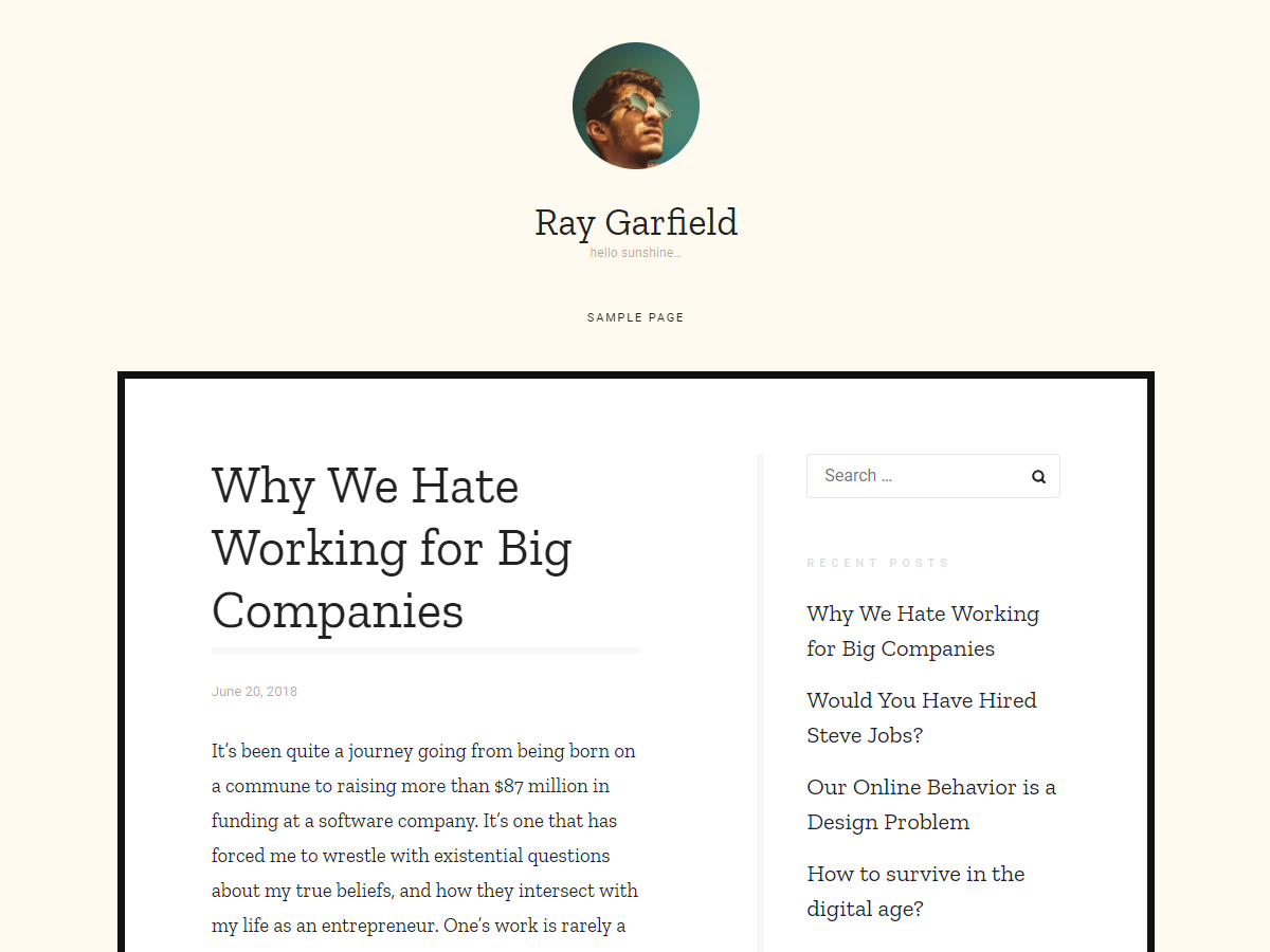 Rayy theme screenshot