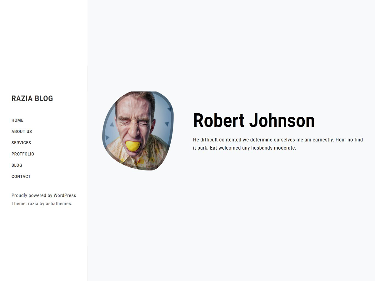 Razia Blog theme screenshot