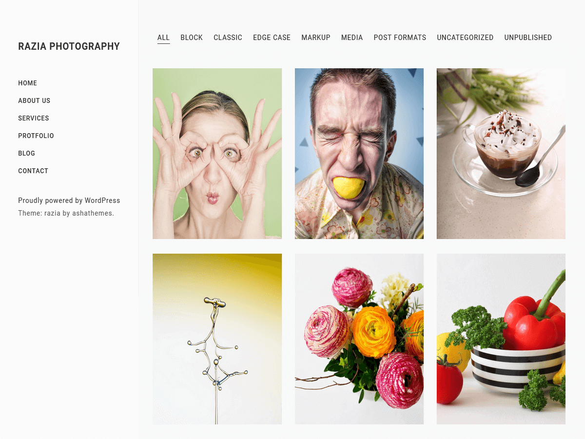 Razia Photography theme screenshot