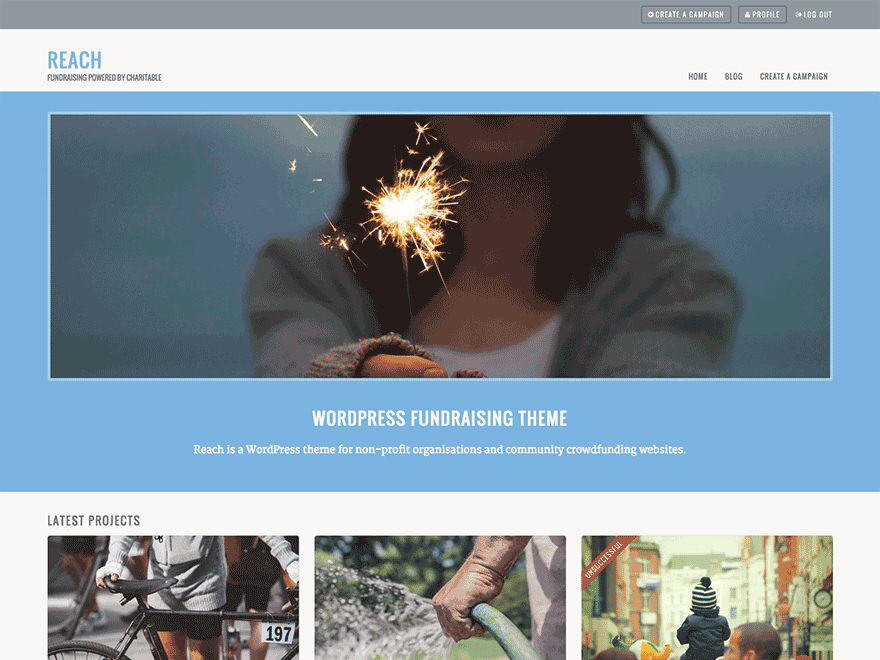 Reach theme screenshot