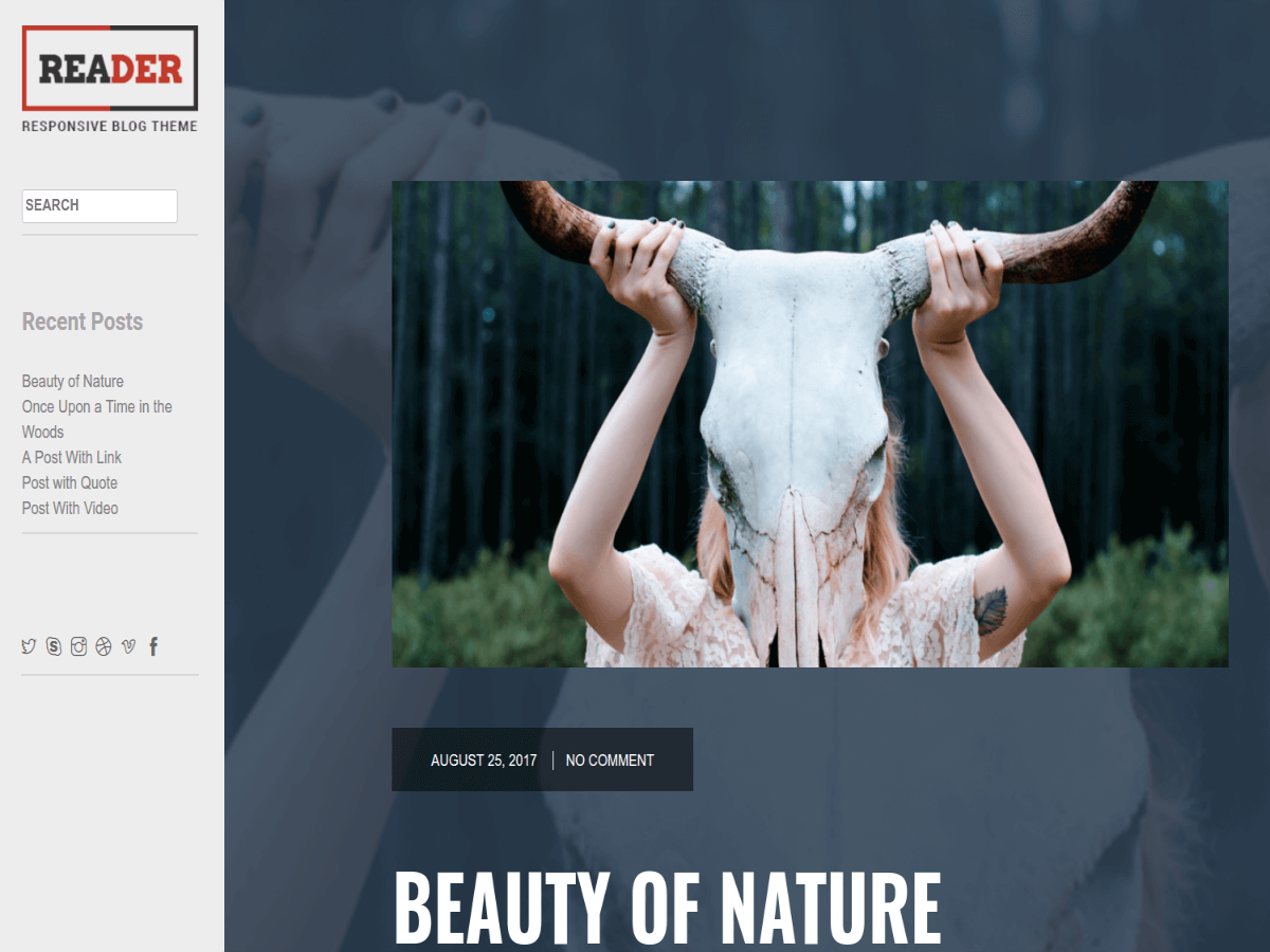 Reader WP Lite theme screenshot