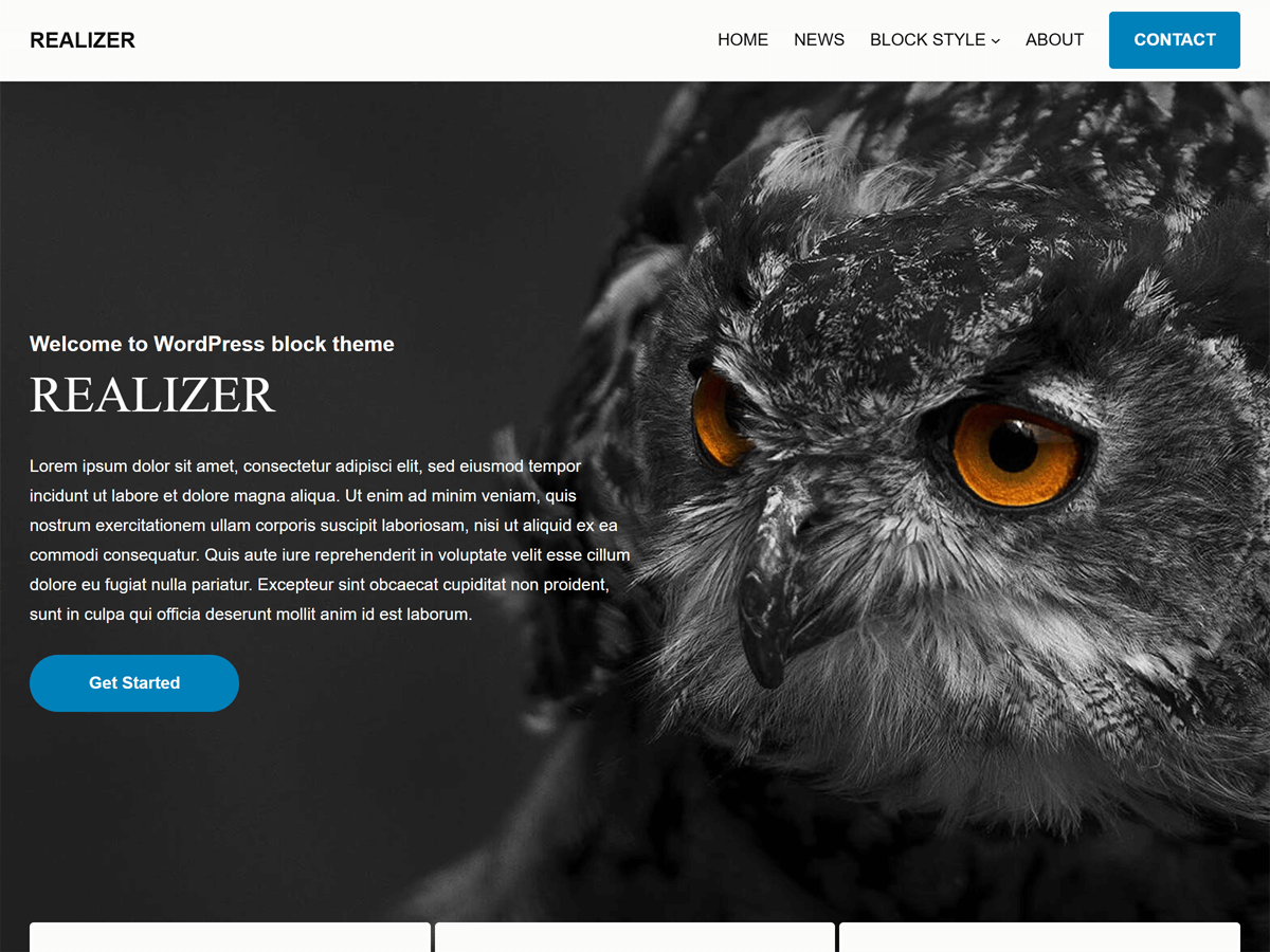 REALIZER theme screenshot