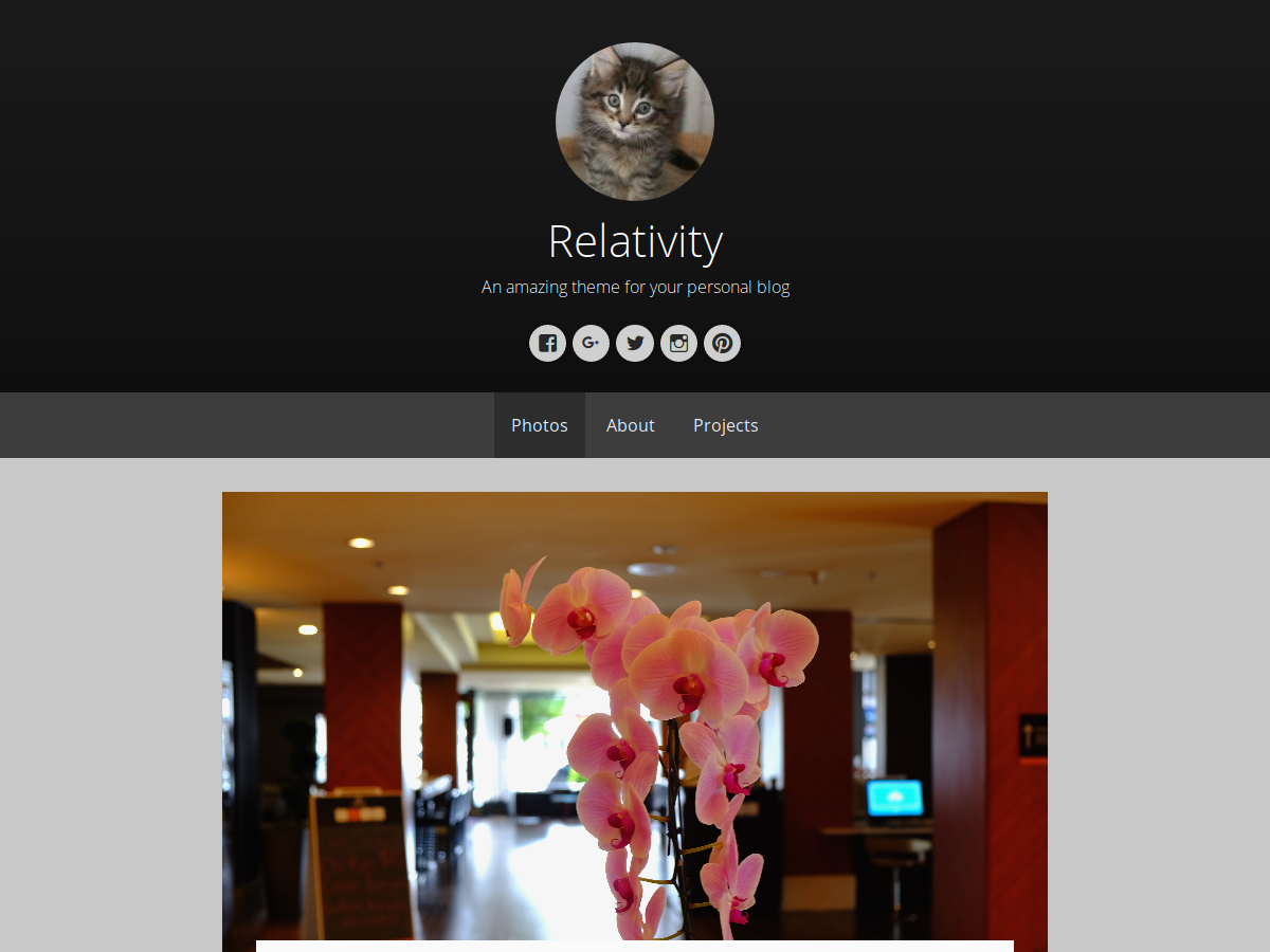 Relativity theme screenshot
